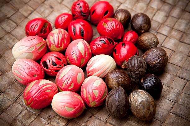 fresh nutmeg and mace spice