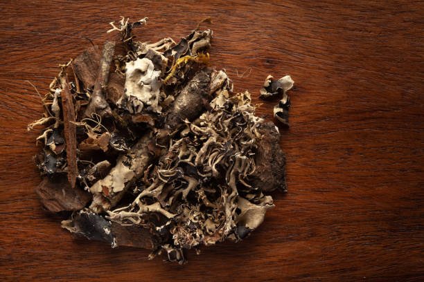 Macro close-up of Organic Kalpasi or Dagad phool or black stone flower or Kabila on wooden top background. Pile of Indian Aromatic Spice. Top view