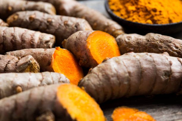 Curcuma longa, turmeric, rhizomes - complementary medicine